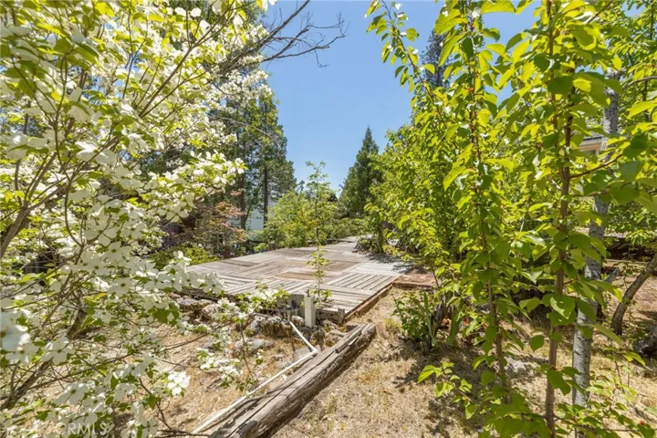 pretty outdoor space