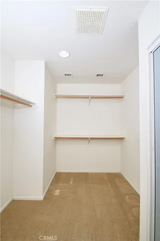 Large walk-in closet