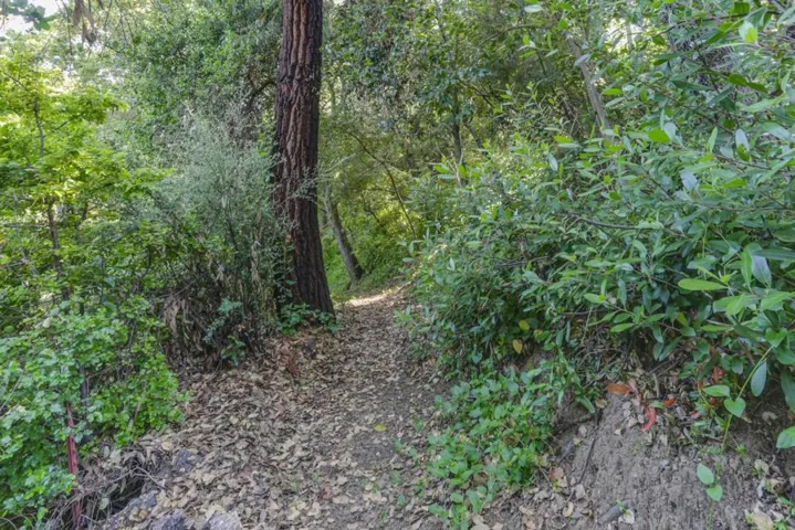 Trail to lower portion of lot with flat area for ADU and separate access from Wild Way