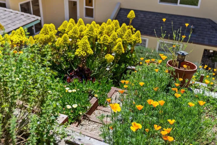 661 Cliff Drive, Aptos, California 95003
