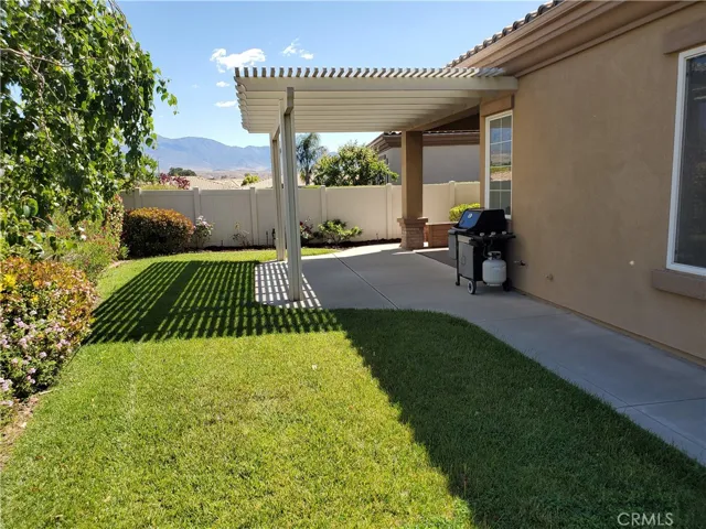 back yard
