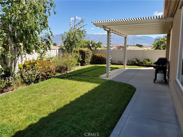 back yard