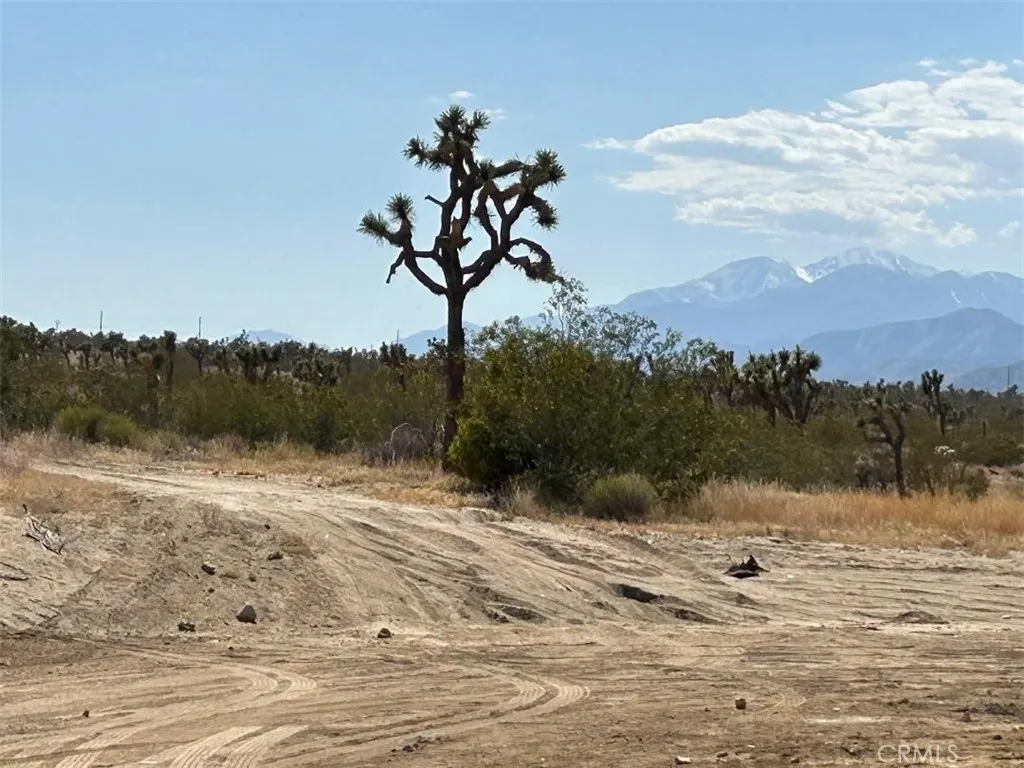 7374 Olympic Road, Joshua Tree, California 92252 home-pic-8