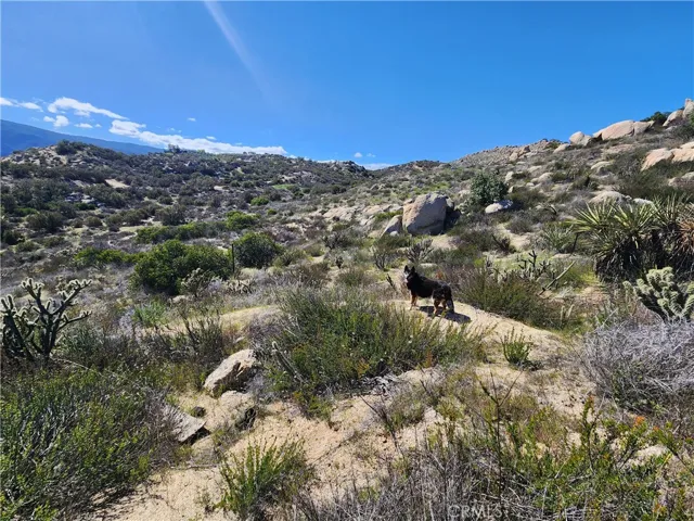 48374 Indian Trails Road, Aguanga, California 92536