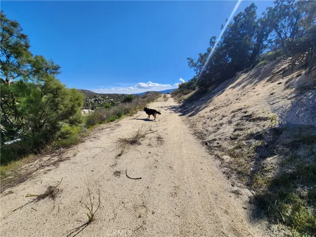 48374 Indian Trails Road, Aguanga, California 92536