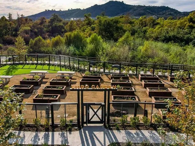 35568 Orchard Trails 356, Fallbrook, California 92028