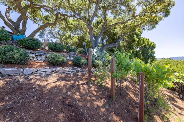 2 Deer Meadow, Carmel Valley, California 93924