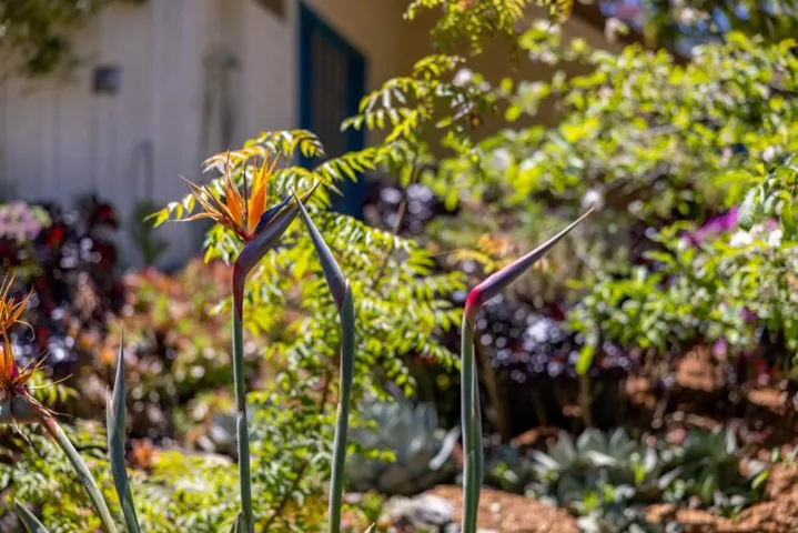 2 Deer Meadow, Carmel Valley, California 93924