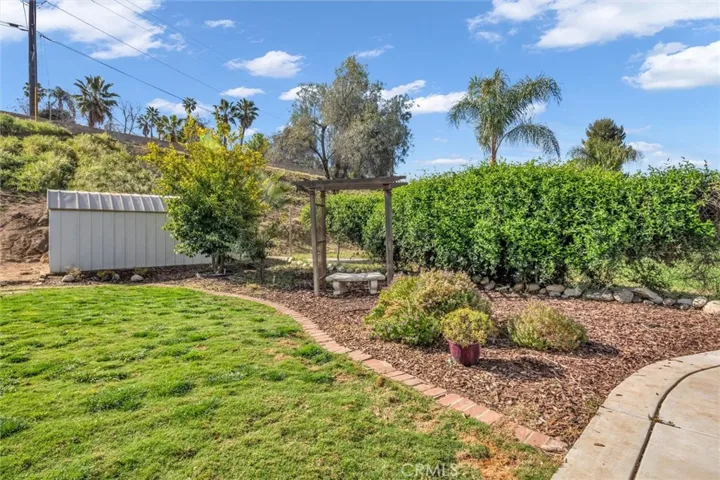 Garden with Shed