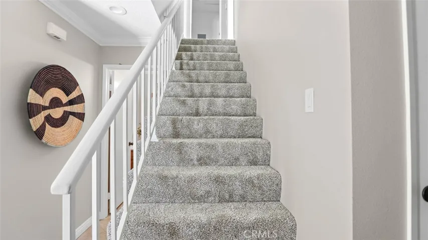 All new carpet going up