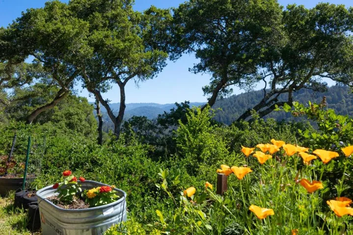 348 Los Robles Road, Soquel, California 95073