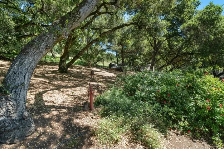 5042 Wildberry Lane, Soquel, California 95073
