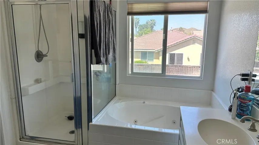 Primary Bathroom 2