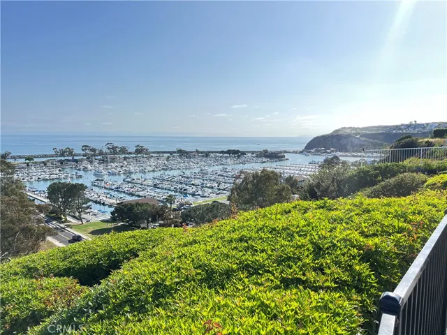 33852 Copper Lantern Street E, Dana Point, California 92629