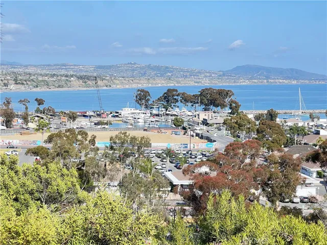 33852 Copper Lantern Street E, Dana Point, California 92629