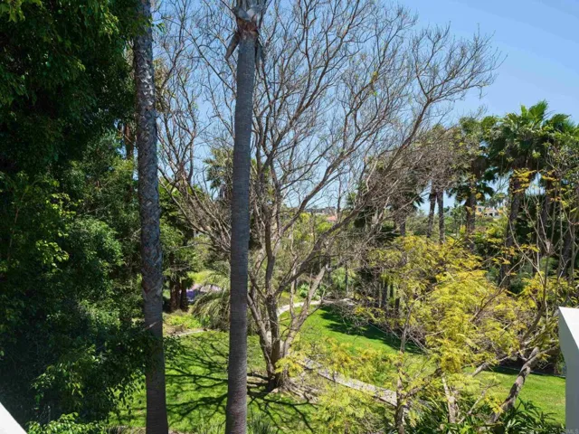 14821 Calle Montelibano, Rancho Santa Fe, California 92067