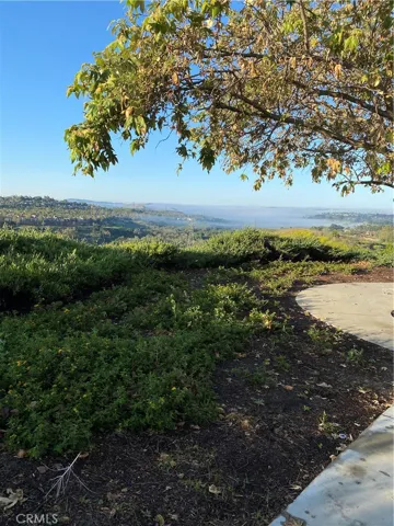 Matt Davis park in tract.