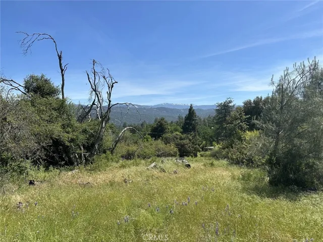 0 1.68 Ac Deerview Lane, Oakhurst, California 93644