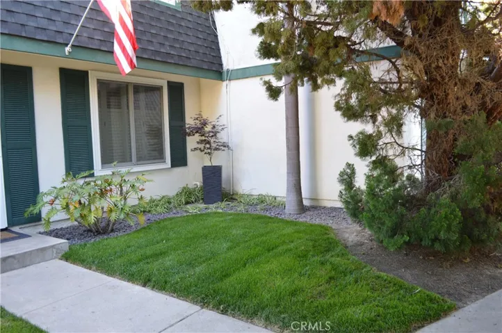 New Sod in front yard