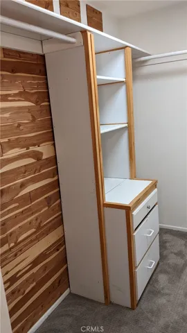 Primary Walk-in Closet