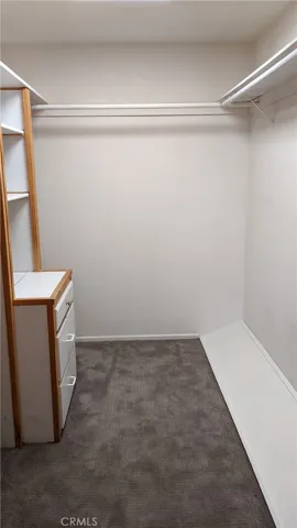 Primary Walk-in Closet