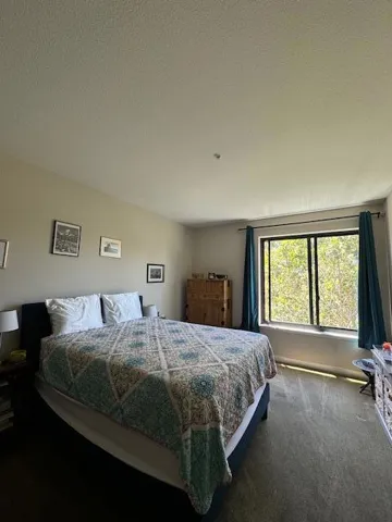 88 Bush Street 3207, San Jose, California 95126