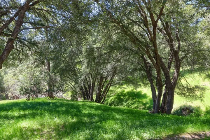 2407 Parmabelle Road, Mariposa, California 95338