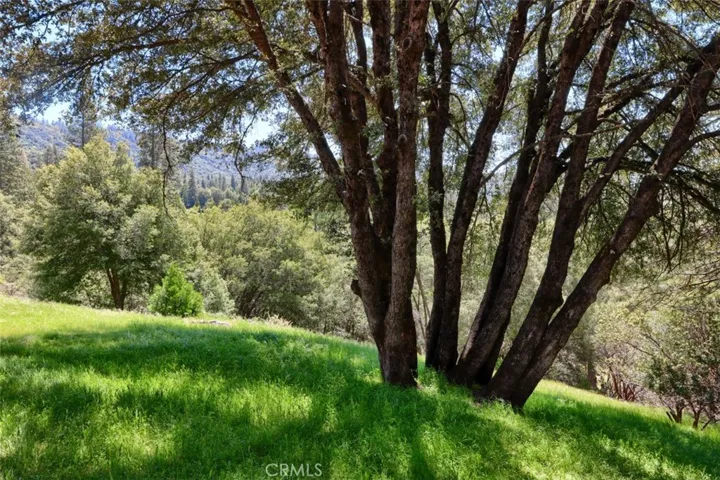 2407 Parmabelle Road, Mariposa, California 95338