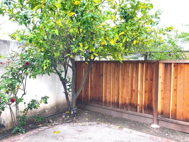 34480 Torrey Pine Lane, Union City, California 94587