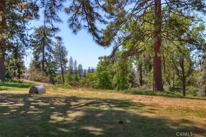 5987 Pine Top Drive, Mariposa, California 95338