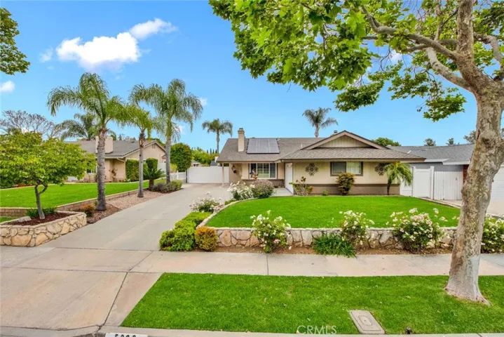 Mature landscaping