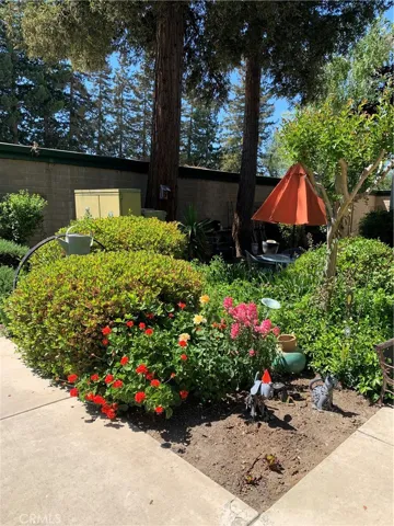 10 Royale Avenue 12, Lakeport, California 95453