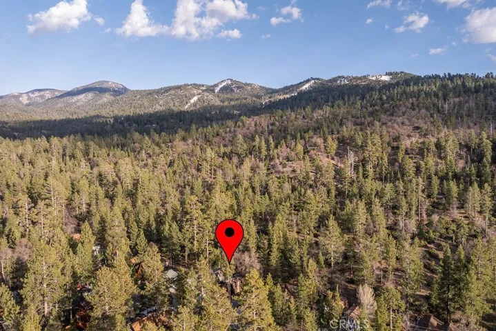 42569 Willow Avenue, Big Bear Lake, California 92315