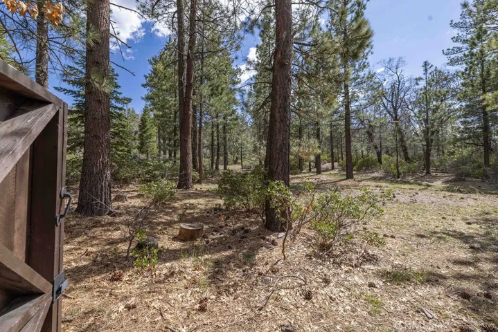 42569 Willow Avenue, Big Bear Lake, California 92315