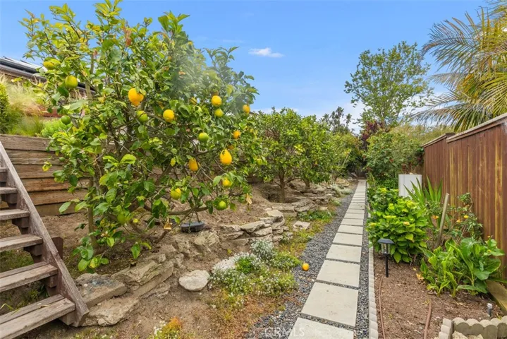A variety of fruit trees have been well cared for: lemon, orange, fig, and so much more!