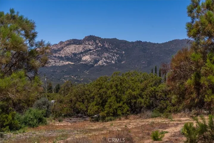53258 Denny Lane, Anza, California 92539
