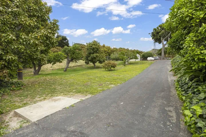 2-web-or-mls-UpmarketMedia_19966Mount-17
