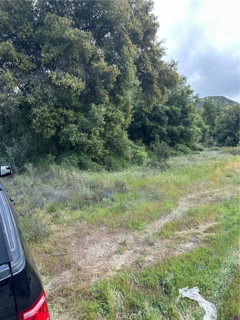Front of parcel has Oak trees.