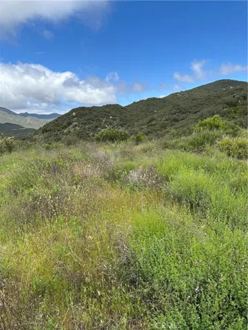 View of pad area.