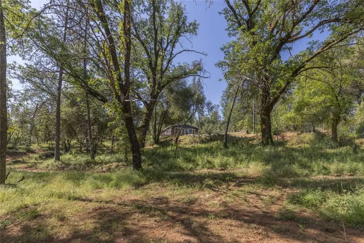 6655 Quail Lane, Midpines, California 95345