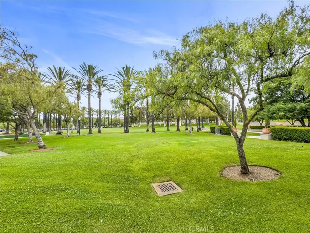 Beautiful community parks