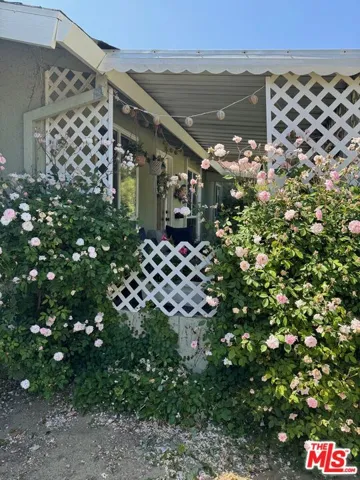 Looking into covered patio