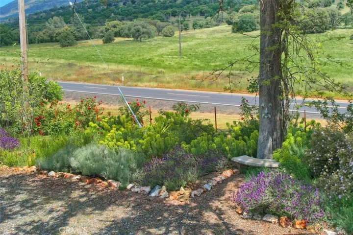 Beautiful Gardens