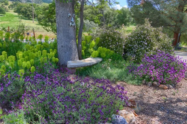 Amazing Floral Gardens and Orchard