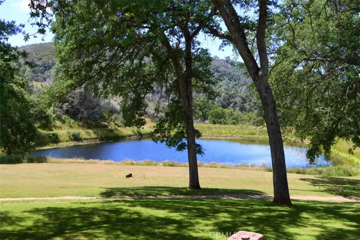 Backyard Views