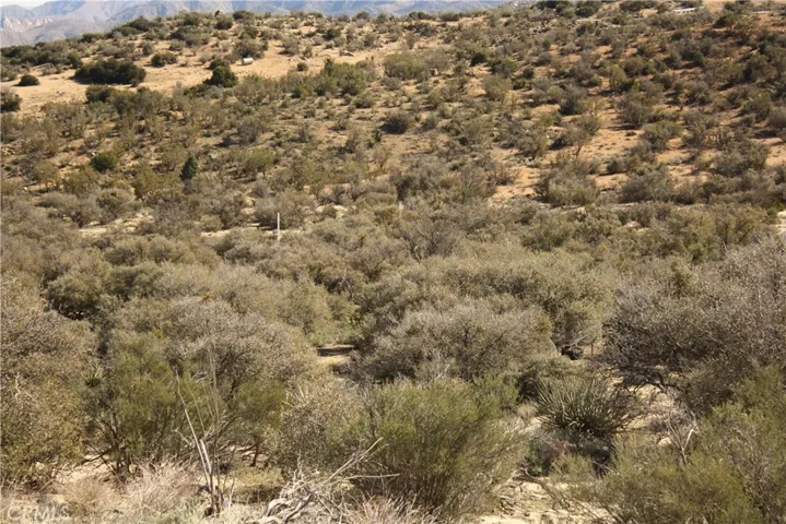 0 High Country Trail, Anza, California 92539
