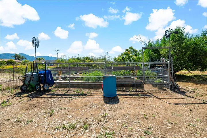 Fenced in Garden