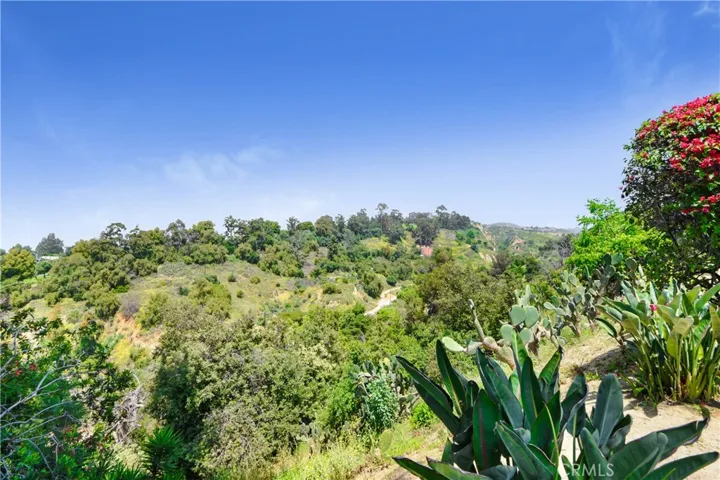 View of Canyon w Walking Trails Below