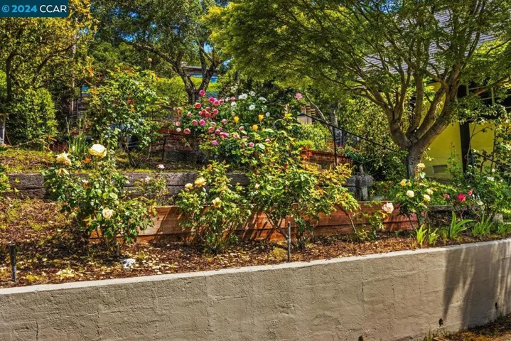 50 La Campana, Orinda, California 94563