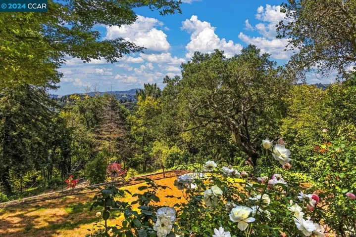 50 La Campana, Orinda, California 94563